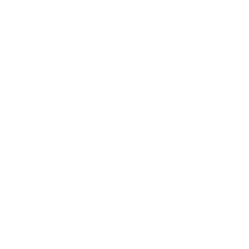 The House Committee On Veterans' Affairs